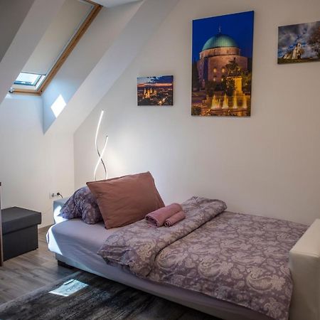 Zsuka Apartman Free Parking Pécs Exterior photo